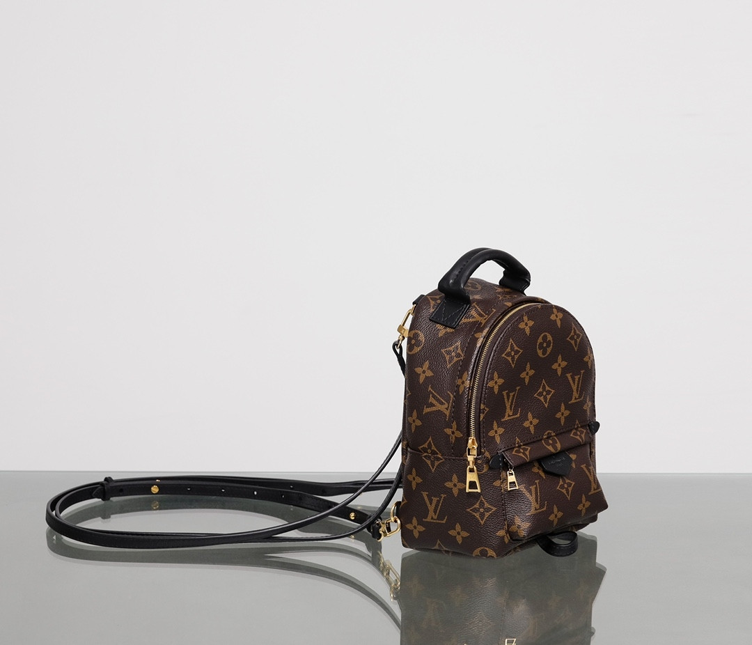 LV PALM SPRINGS MINI BACKPACK Monogram M44873 22*17*10CM
